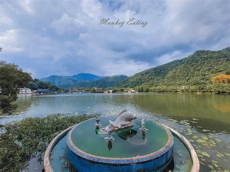 龜穴|【南投景點】埔里鯉魚潭風景區(寵物友善景點)，湖中橫跨的柳堤。